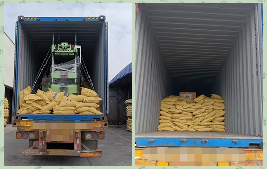Shunhao Automatic Melamine Tableware Machinery dan Cetakan Senyawa Pengiriman